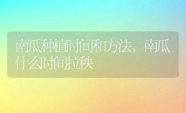 南瓜种植时间和方法,南瓜什么时间拉秧 | 养殖常见问题