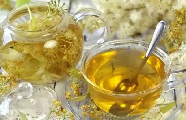 植物常识问题|决明子菊花茶的功效与作用