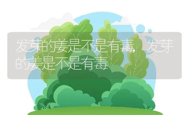 发芽的姜是不是有毒,发芽的姜是不是有毒 | 养殖常见问题