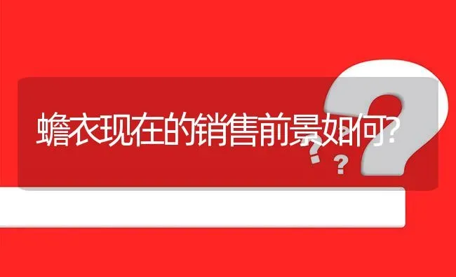 蟾衣现在的销售前景如何? | 养殖问题解答
