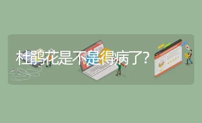 杜鹃花是不是得病了? | 养殖问题解答