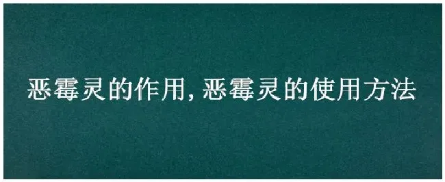 恶霉灵的作用,恶霉灵的使用方法 | 三农答疑