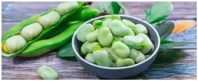 河南蚕豆什么时候播种 | 农业常识