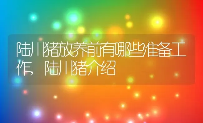 陆川猪放养前有哪些准备工作,陆川猪介绍 | 养殖常见问题