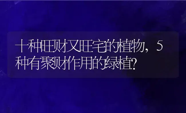 十种旺财又旺宅的植物,5种有聚财作用的绿植？ | 养殖常见问题