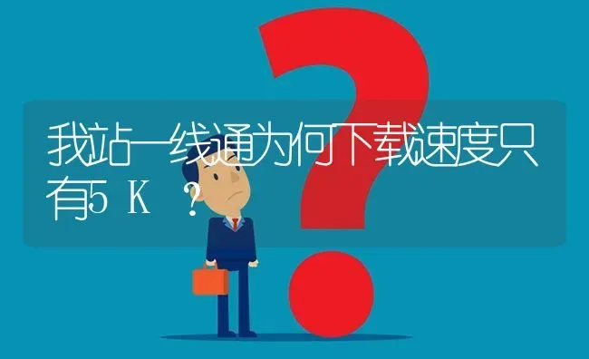 我站一线通为何下载速度只有5K? | 养殖问题解答