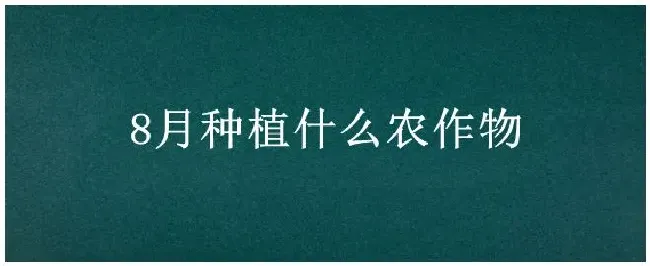 8月种植什么农作物 | 生活常识