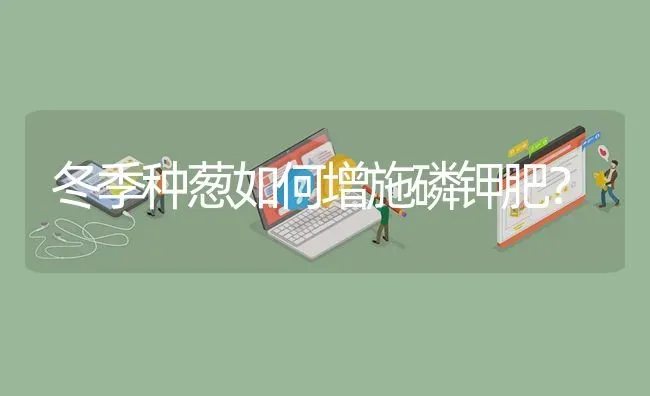 冬季种葱如何增施磷钾肥? | 养殖问题解答