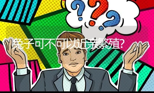 兔子可不可以近亲繁殖? | 养殖问题解答