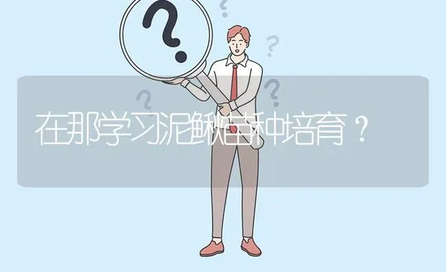 在那学习泥鳅苗种培育? | 养殖问题解答