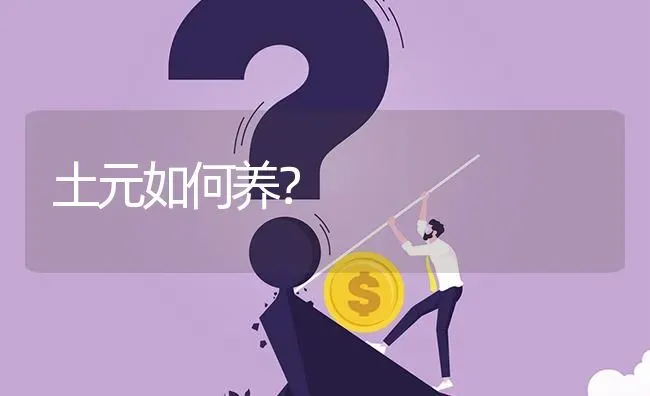 土元如何养? | 养殖问题解答