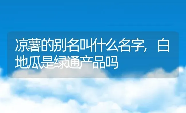 凉薯的别名叫什么名字,白地瓜是绿通产品吗 | 养殖常见问题