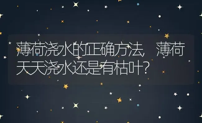 薄荷浇水的正确方法,薄荷天天浇水还是有枯叶？ | 养殖常见问题