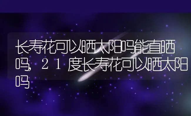 长寿花可以晒太阳吗能直晒吗,21度长寿花可以晒太阳吗 | 养殖常见问题