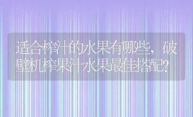 适合榨汁的水果有哪些,破壁机榨果汁水果最佳搭配？ | 养殖常见问题