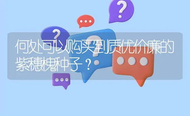 何处可以购买到质优价廉的紫穗槐种子? | 养殖问题解答