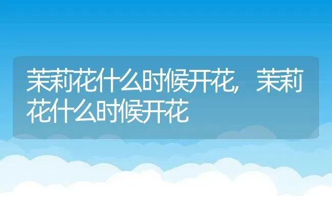 茉莉花什么时候开花,茉莉花什么时候开花 | 养殖常见问题