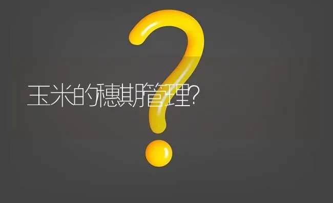 玉米的穗期管理? | 养殖问题解答