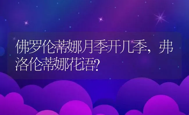 佛罗伦蒂娜月季开几季,弗洛伦蒂娜花语？ | 养殖常见问题