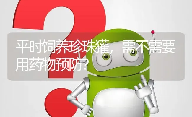 平时饲养珍珠獾,需不需要用药物预防? | 养殖问题解答