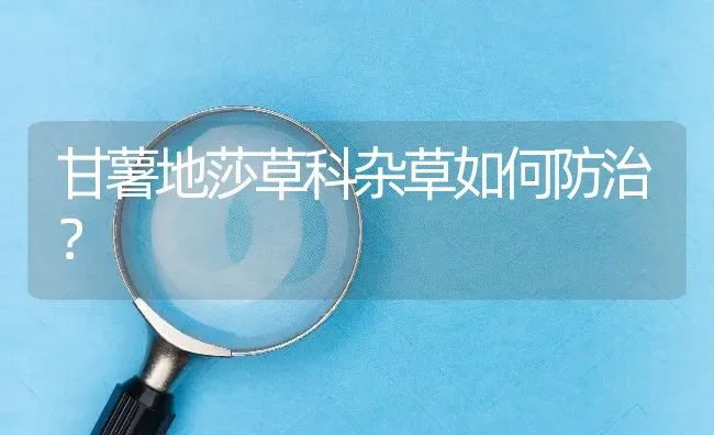 甘薯地莎草科杂草如何防治? | 养殖问题解答