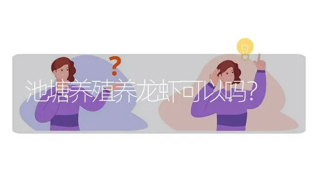 池塘养殖养龙虾可以吗? | 养殖问题解答