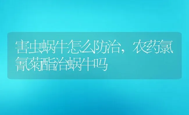 害虫蜗牛怎么防治,农药氯氰菊酯治蜗牛吗 | 养殖常见问题