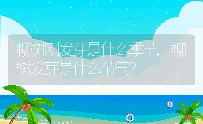 柳树刚发芽是什么季节,柳树发芽是什么节气？ | 养殖常见问题