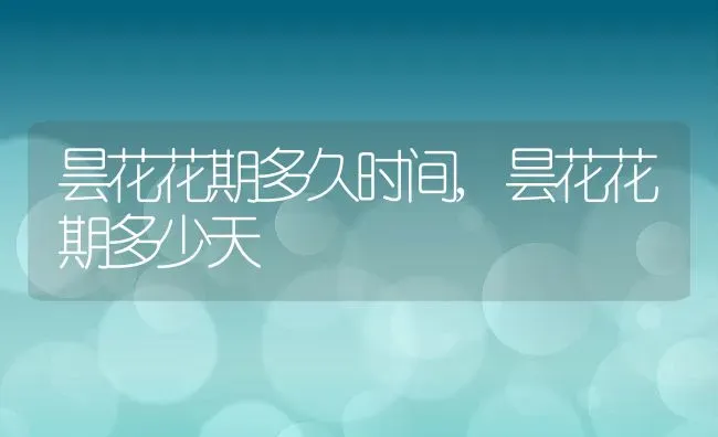 昙花花期多久时间,昙花花期多少天 | 养殖常见问题