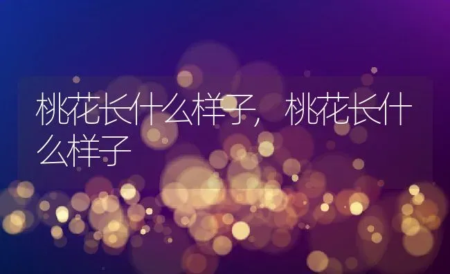 桃花长什么样子,桃花长什么样子 | 养殖常见问题
