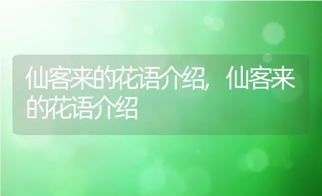 仙客来的花语介绍,仙客来的花语介绍 | 养殖常见问题