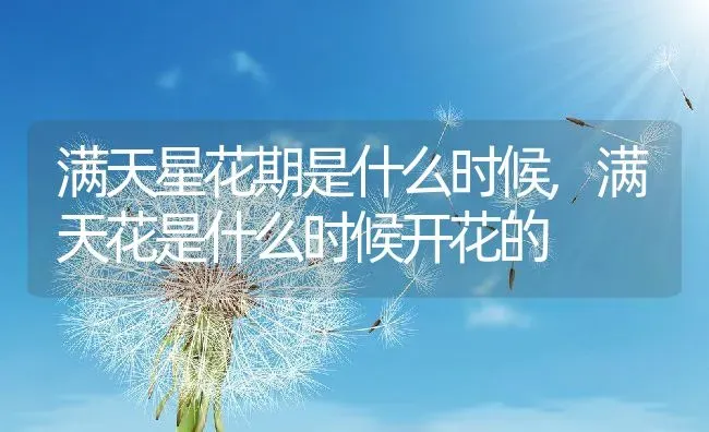 淞沪会战的起因与由来,淞沪会战的起因与由来 | 养殖常见问题