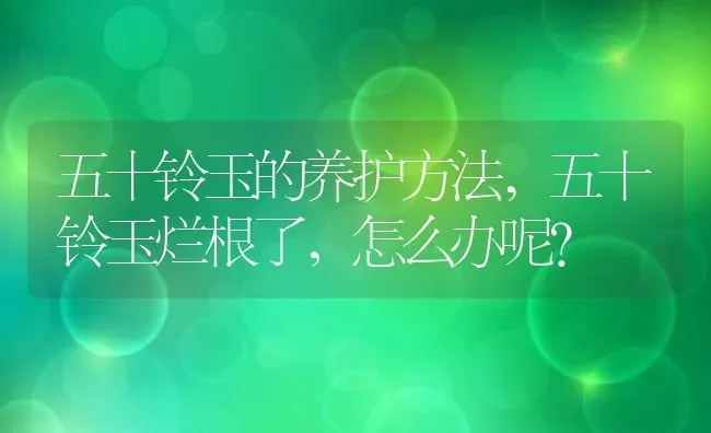 五十铃玉的养护方法,五十铃玉烂根了，怎么办呢？ | 养殖常见问题
