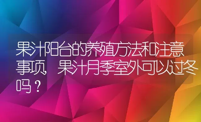 果汁阳台的养殖方法和注意事项,果汁月季室外可以过冬吗？ | 养殖常见问题