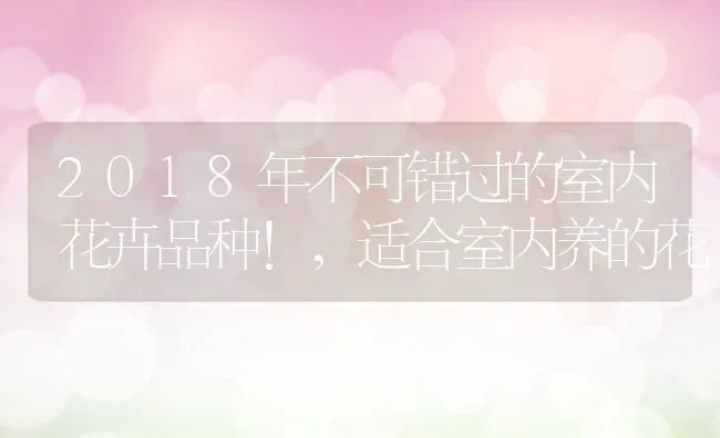 2018年不可错过的室内花卉品种!,适合室内养的花 | 养殖常见问题