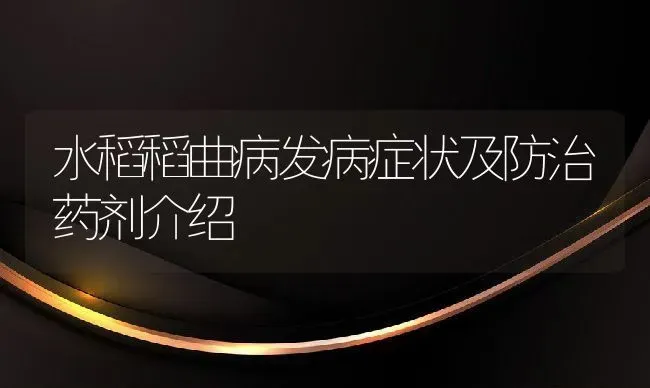 水稻稻曲病发病症状及防治药剂介绍 | 养殖常见问题