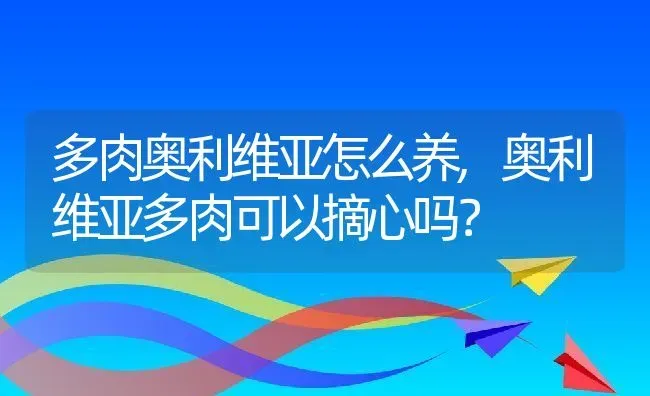 多肉奥利维亚怎么养,奥利维亚多肉可以摘心吗？ | 养殖常见问题