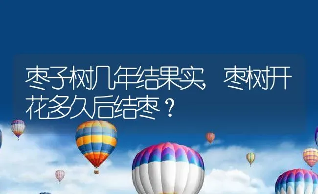 枣子树几年结果实,枣树开花多久后结枣？ | 养殖常见问题