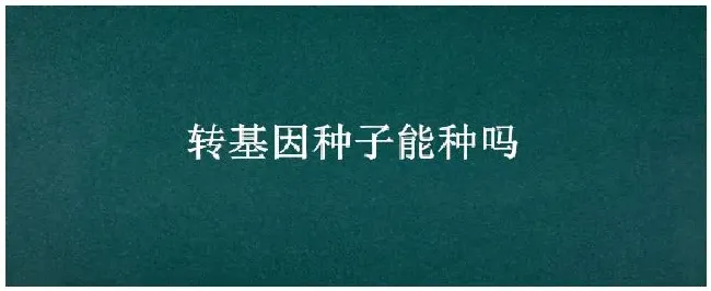 转基因种子能种吗 | 农业答疑