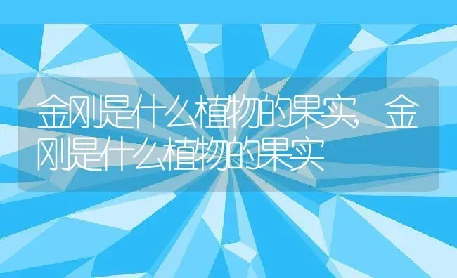 金刚是什么植物的果实,金刚是什么植物的果实 | 养殖常见问题