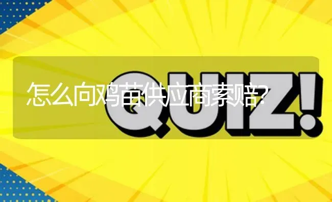 怎么向鸡苗供应商索赔? | 养殖问题解答