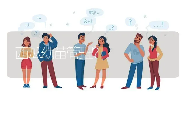 西瓜幼苗管理? | 养殖问题解答