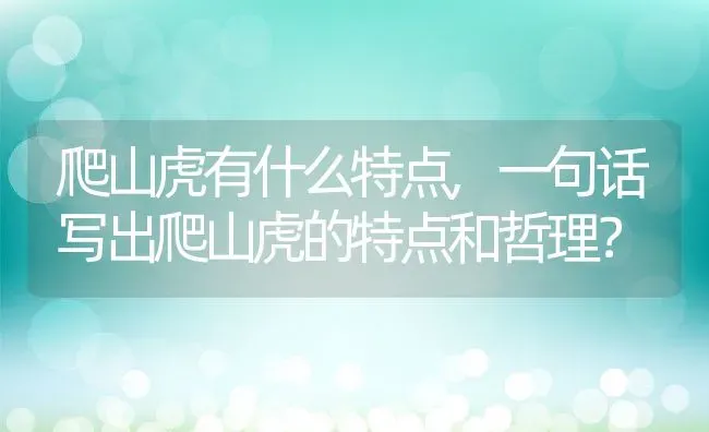 爬山虎有什么特点,一句话写出爬山虎的特点和哲理？ | 养殖常见问题