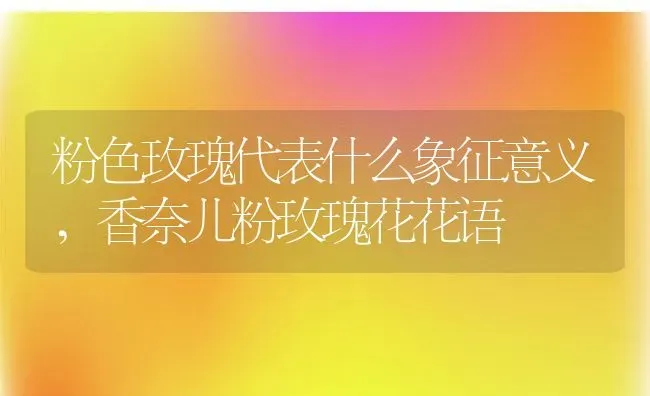 扶桑花的寓意和象征,扶桑花花语和含义？ | 养殖常见问题