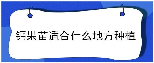 钙果苗适合什么地方种植 | 农业常识