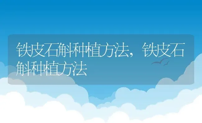铁皮石斛种植方法,铁皮石斛种植方法 | 养殖常见问题