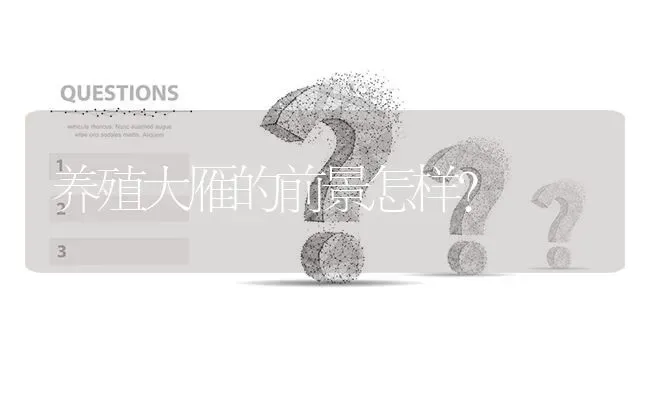 养殖大雁的前景怎样? | 养殖问题解答
