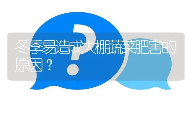 冬季易造成大棚蔬菜肥害的原因? | 养殖问题解答
