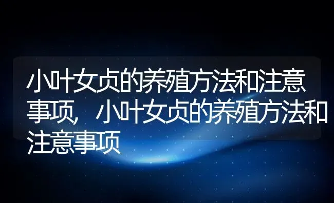 小叶女贞的养殖方法和注意事项,小叶女贞的养殖方法和注意事项 | 养殖常见问题