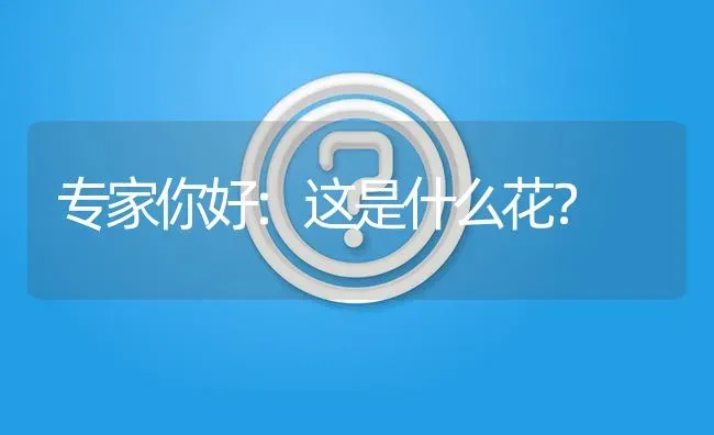 专家你好:这是什么花? | 养殖问题解答